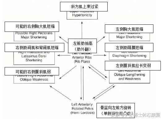 颞下颌关节紊乱矫正姿势,颞下颌关节错位自我矫正