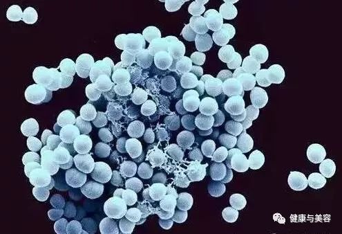 真正的皮肤保养,真正的好皮肤是由内而外的明透感