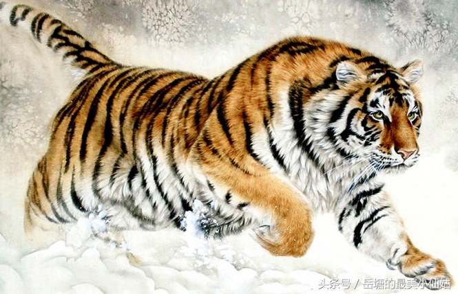 生肖属虎的人和什么生肖最般配,生肖虎适合和哪些生肖配对