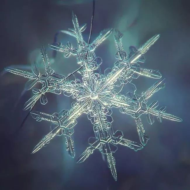 历时8年用微距镜头拍摄的雪花,超级微距拍摄雪花