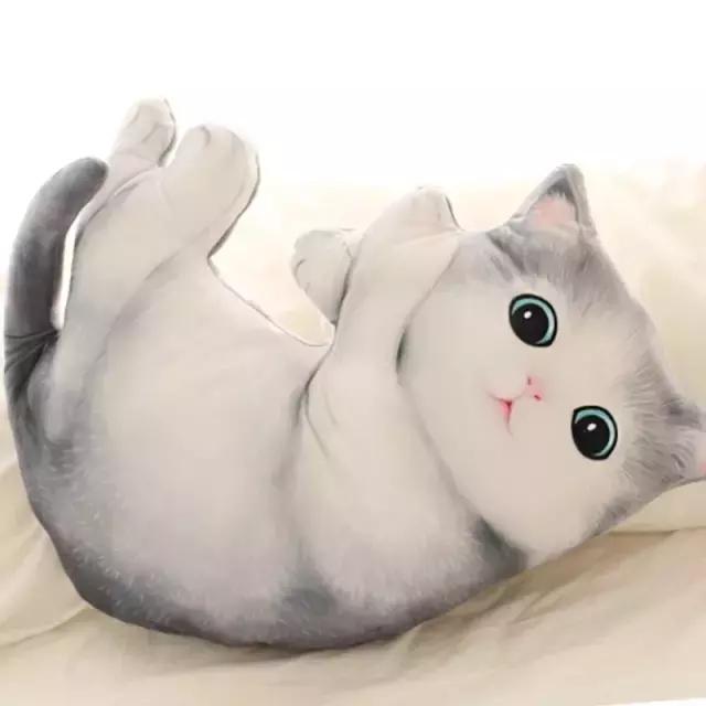 陶瓷摆件猫 (瓷摆件猫)