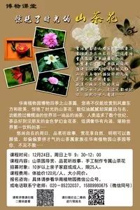 深圳周末活动,广州本周末活动