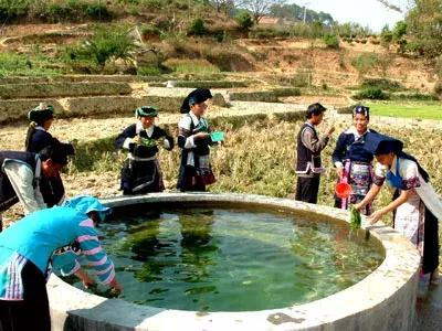 昆明坐火车绿皮去西双版纳,昆明坐高铁去西双版纳沿途风景