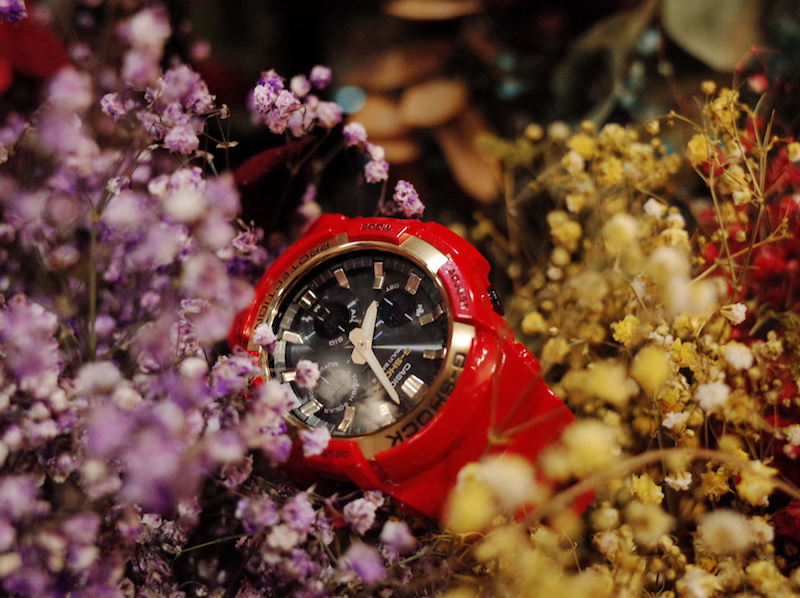 狗爷戴的卡西欧,卡西欧狗新年限量款