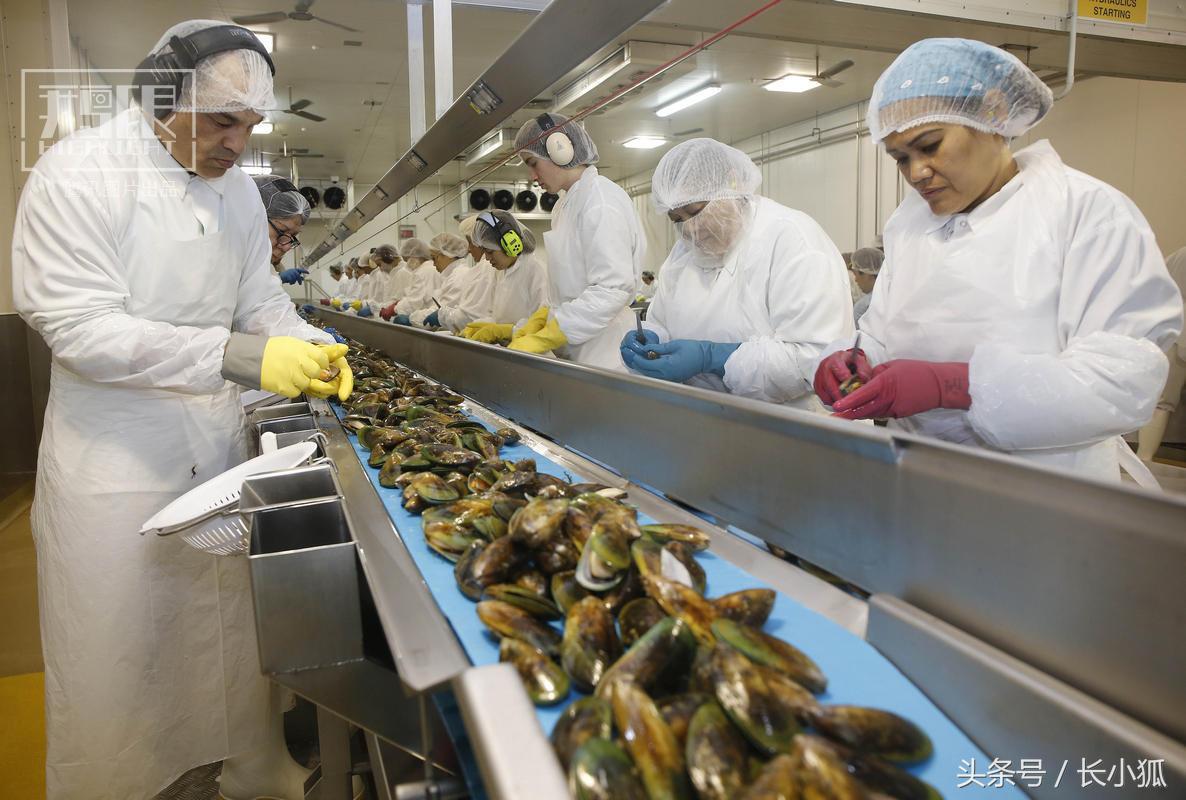 朋友圈里卖海鲜的,朋友圈卖海鲜的