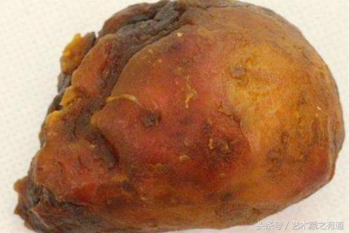 怎样鉴定鸡宝最值钱,2023年鸡宝的价值一克多少钱呢