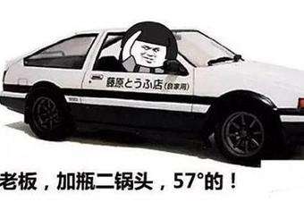 乙醇汽油有95号吗,乙醇汽油要停止了吗