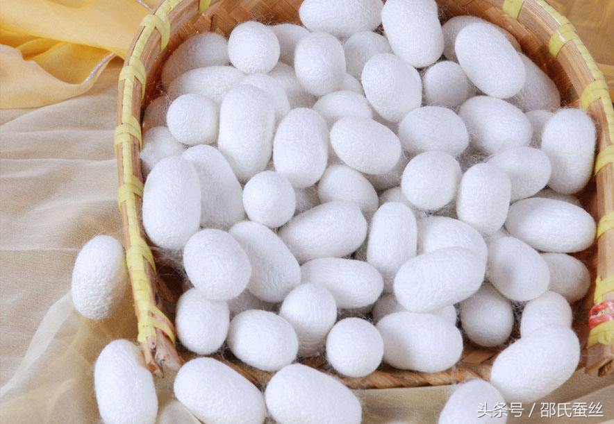 蚕丝被涤纶被面,220*240的被子蚕丝被