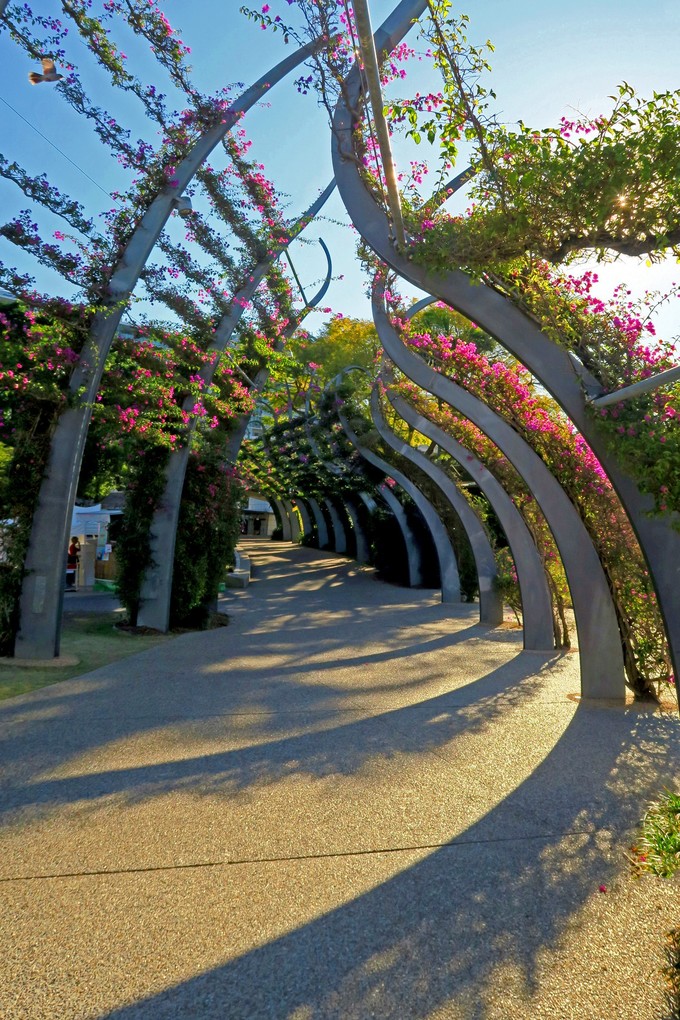 布里斯班市区游（布里斯本河、南岸公园，库萨山夜景）