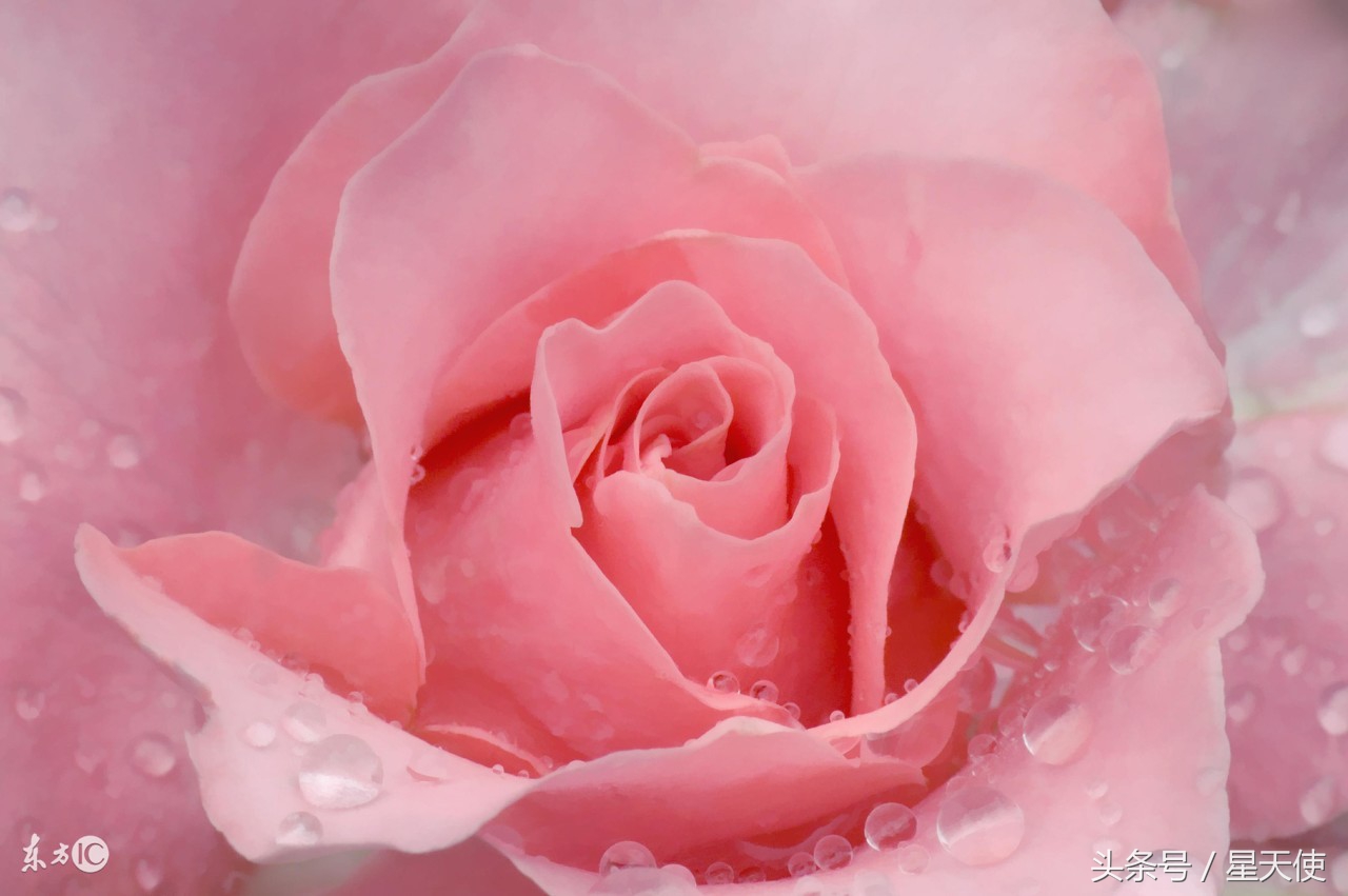 你知道吗？妇科病里也有“老赖”，被赖上后既痛苦又烧钱！