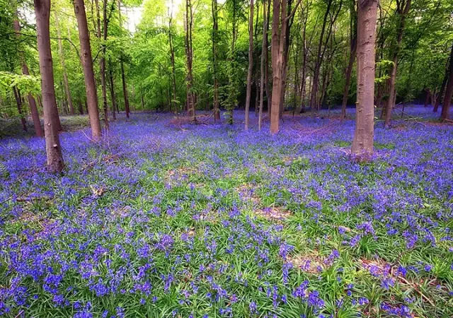 哪个地方可以玩星球大战,星球大战旅游地点大全