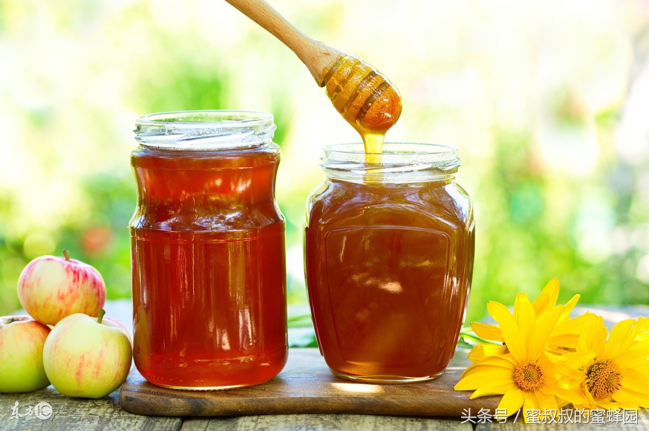 养蜂基础知识视频,养蜂实用技术200问