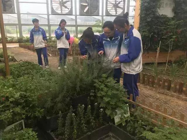 青岛市崂山区第二中学怎么样,崂山二中新校园