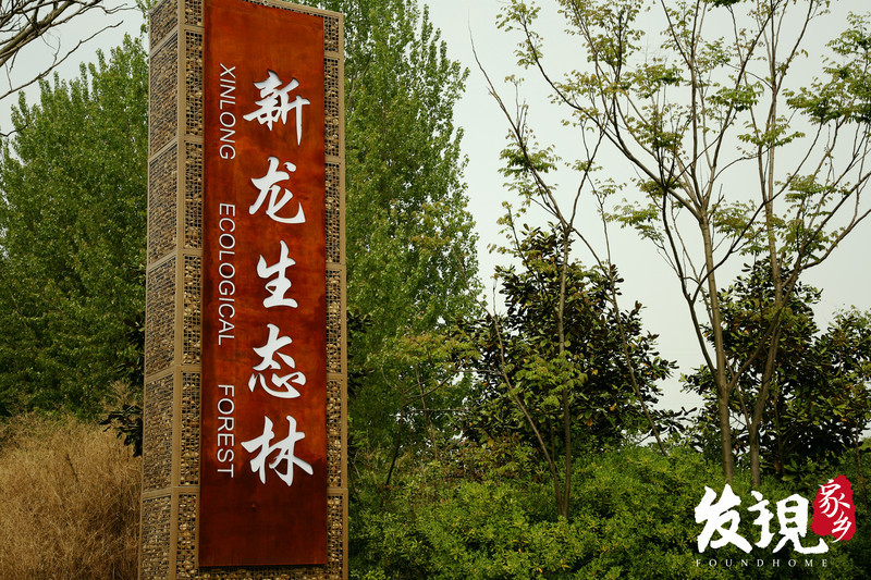 还没有爱上春江，那是因为你没来过这些地方