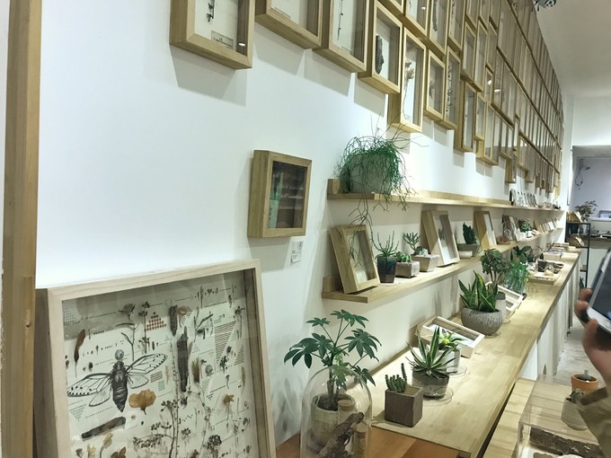 游记成都市内2日行,成都三日吃住行详细攻略