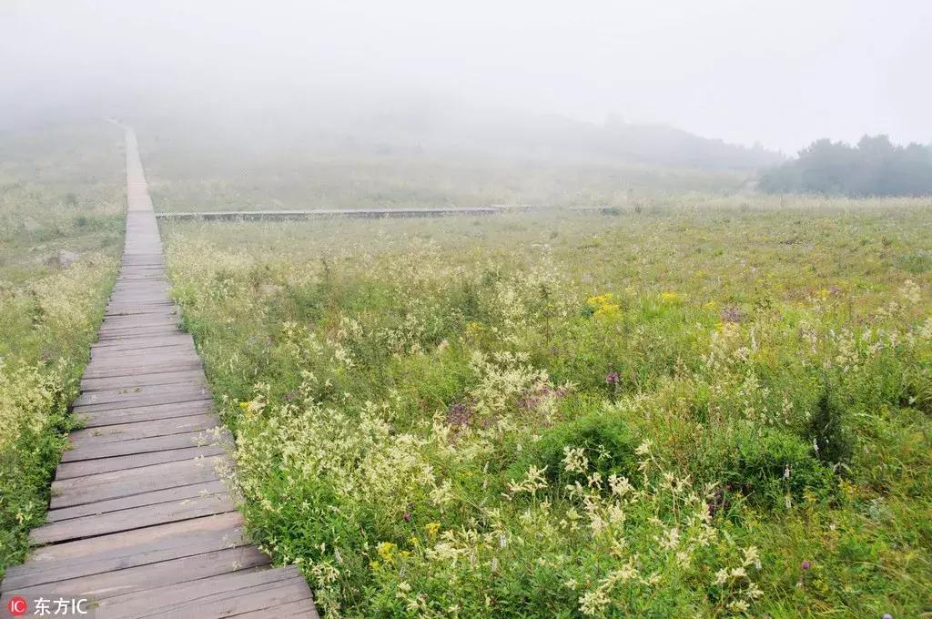 年底好消息来袭！大北京这些东西统统免费！还有精彩的活动等着你，不知道就亏大了！