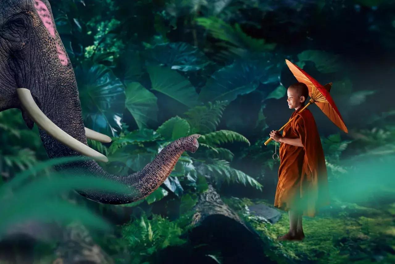 面对人生的风景句子,人生的风景由你自己决定