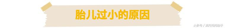 胎儿偏小要补微量元素,孕妈胎儿偏小应该怎么补