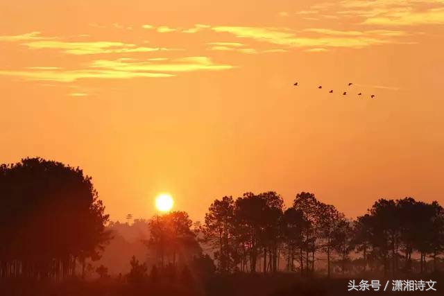 读诗｜：12月26日才真正是我们纪念的日子