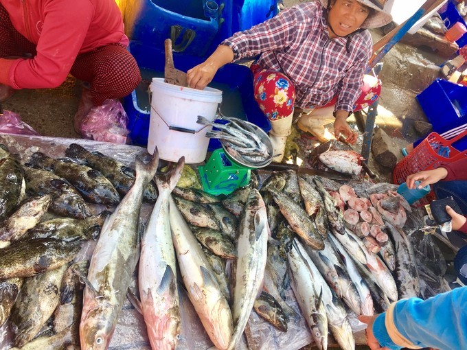 一个人越南攻略,一个人越南自驾游纪录片