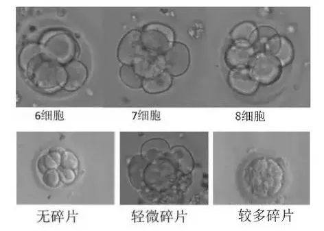 试管移植反复失败不着床怎么回事,试管婴儿着床后多次生化血值太低