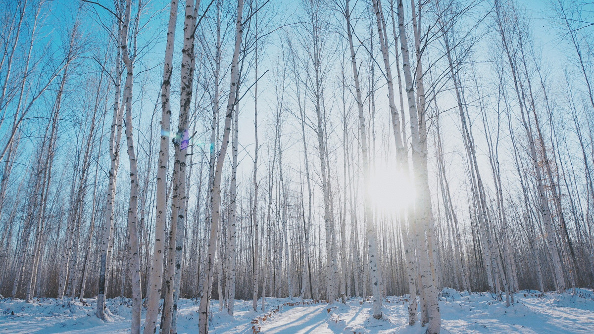 漠河寻北之旅邂逅冰雪奇缘,漠河冰雪深度游