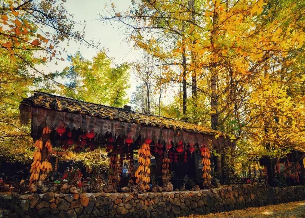 国内最值得自驾的7条绝美路线,自驾21条经典路线图