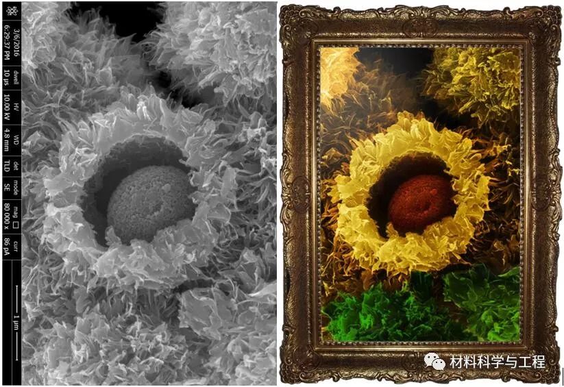 投票表决素材模板,投票素材图片图文