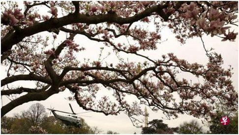 最新法治新闻3分钟,3分钟法治新闻全知道