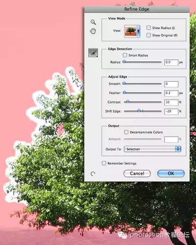 ps软件抠图教程详细步骤,ps多边形工具抠图放大