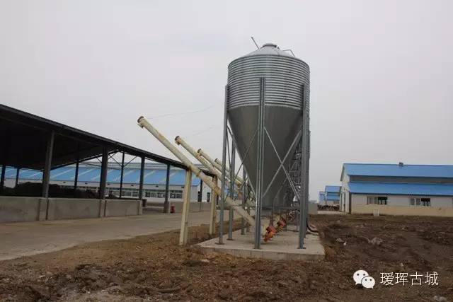 奶粉市场调查与分析,黑龙江黑河奶粉