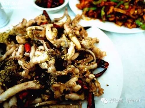 天津热门餐厅推荐平价餐厅,天津正宗津味老字号菜馆