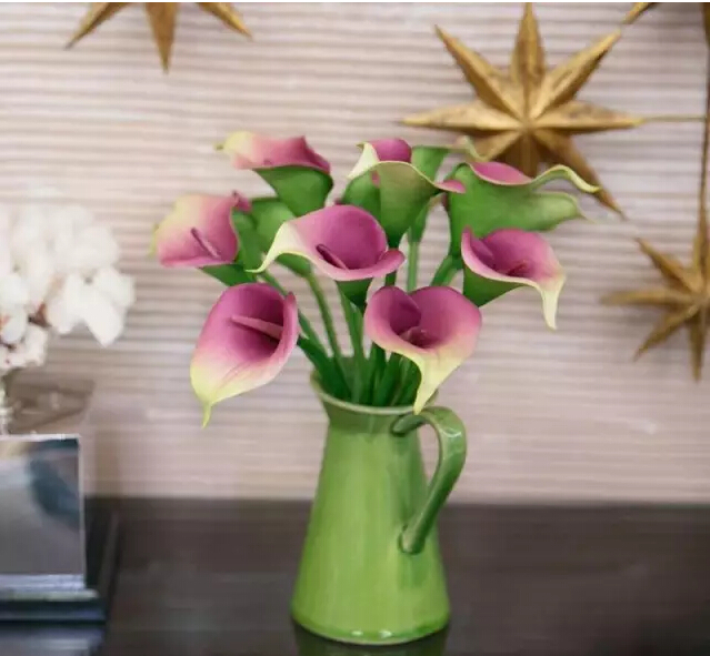 彩色马蹄莲花语象征与寓意,马蹄莲花语象征与寓意