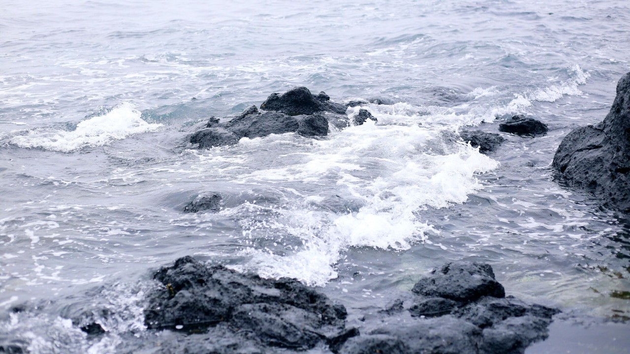 全过程记录,揭秘廉价济州岛跟团游背后的真相