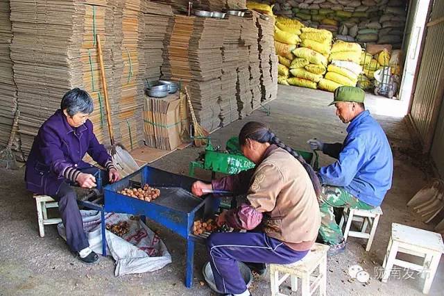 一天时间，陇南电商观摩组看了什么”点“？取了哪些”经“？