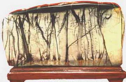 真正的奇石一般在哪里,真正的奇石是怎么样的