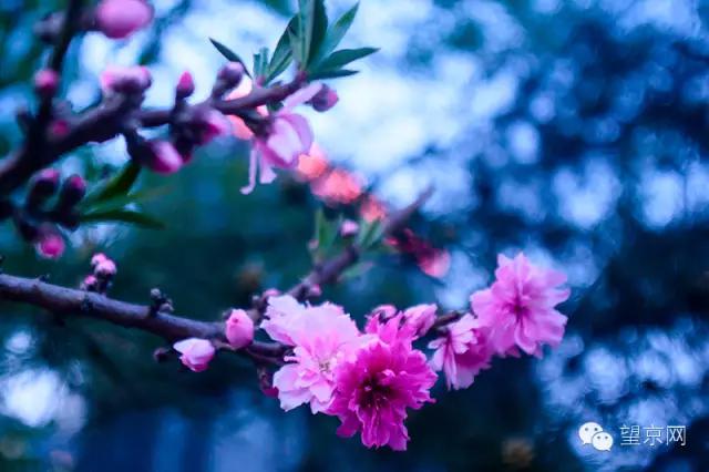 如果有人说“望京什么破地儿?”就把这条微信甩给他