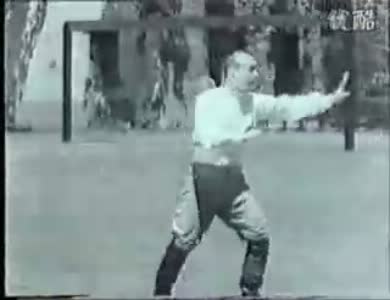 民国汉奸褚民谊,大汉奸褚民谊枪毙时白鹤亮翅