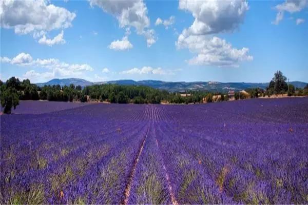 出境旅游需要身份证,出国游玩身份证办理