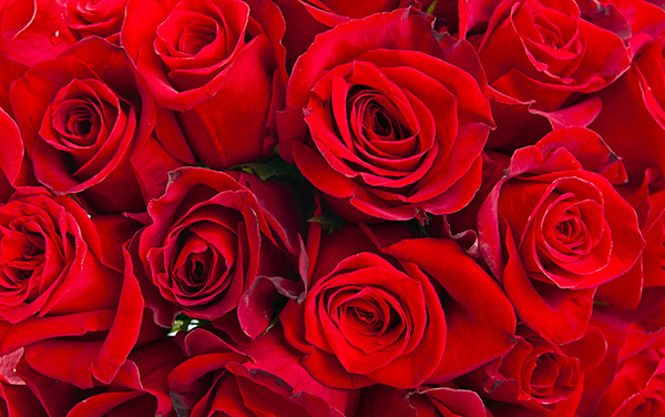 月经病调理经验,紧张害怕焦虑恐惧中医怎么调理