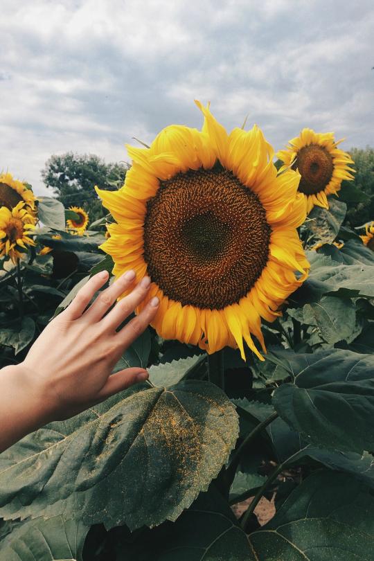 嫂子说要惩罚我，小农民却要日后再说！
