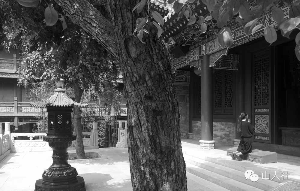 唐朝皇家寺庙罔极寺,发现古城遗址