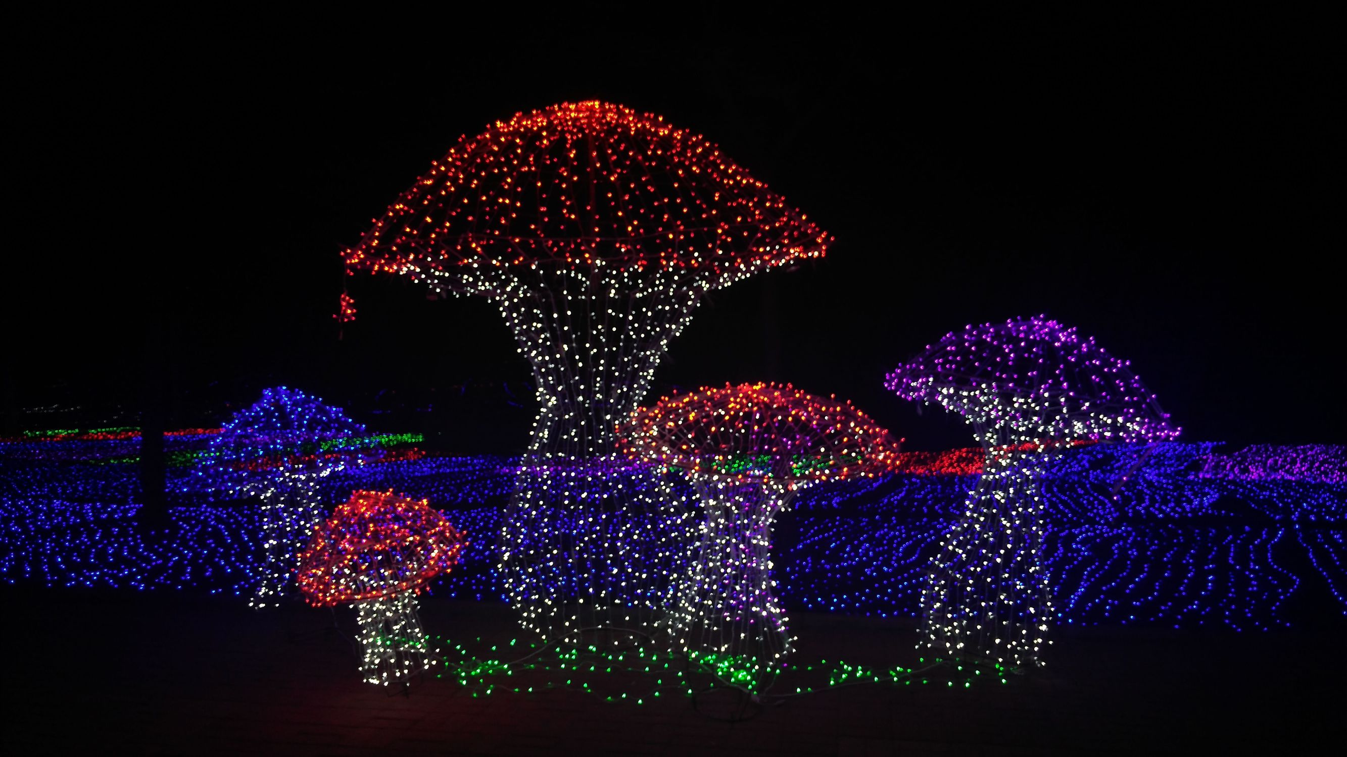 亿万星光点亮世纪欢乐园“奇幻之夜”光影盛宴