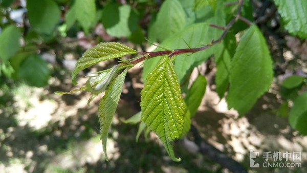 乐视超级手机2处理器,乐视2超强配置全曝光