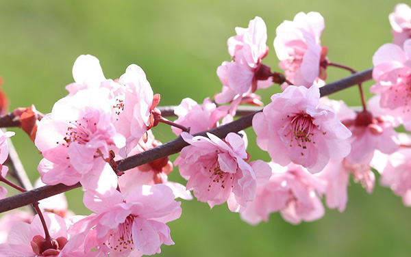 紧张害怕焦虑恐惧中医怎么调理,月经时间长中医调理