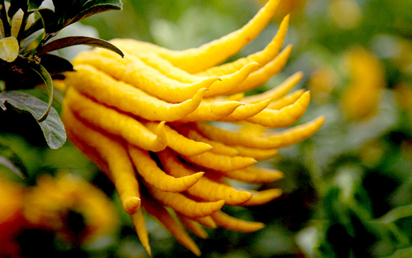 紧张害怕焦虑恐惧中医怎么调理,月经时间长中医调理