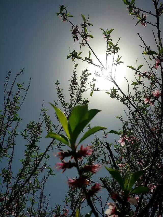 平谷国际徒步大道开放吗,平谷徒步大道自驾游路线图