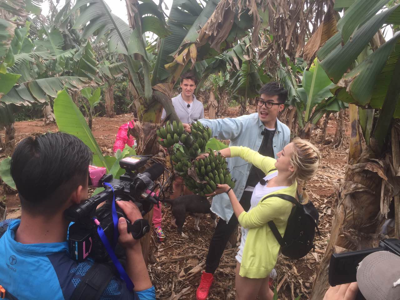 涠洲岛二日游攻略作文700字,6个人怎么玩转涠洲岛