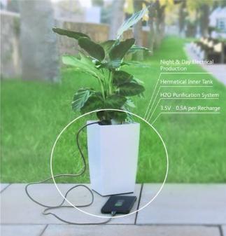 碉堡了！头骨充当密码，你能破解得了吗？