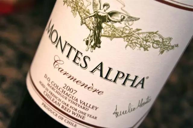 南美洲十种代表性动物,南美特色水果有哪些种类